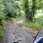 DSCN6047