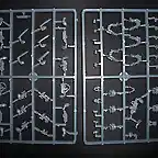 scoutssprue