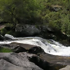DSCN2820