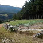 DSCN4403