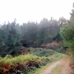 DSCN8479