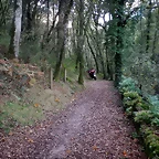 DSCN3775