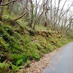 DSCN4237