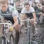 1981-ROUBAIX-BLAIREAU-HINAULT-R.DE VLAEMINCK.