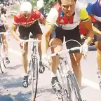 TOUR 1984.ALPE DHUEZ-HINAULT