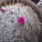 SAM_1347