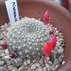 SAM_1346