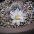 SAM_1344
