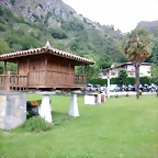 DSCN6640