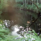 P1010174