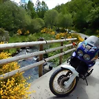 DSCN9116