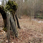 DSCN2970