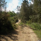 DSCN5308