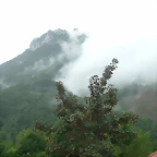 DSCN3989
