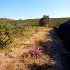 DSCN7707