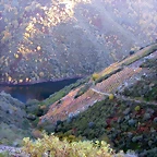 DSCN6519