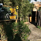Zoo de Barcelona 02-02-11 053