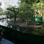 Zoo de Barcelona 02-02-11 054