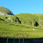 IMG_7240