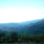 DSCN8079