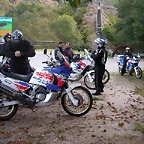 Pulpada 2010 090