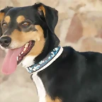 golfo1