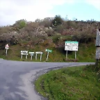 DSCN9142