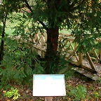 DSCN5798