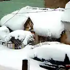 Nieve en Ushuaia, Tierra del Fuego, Patagonia