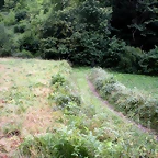 DSCN4763