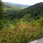 DSCN6656