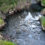DSCN5183