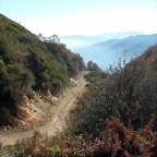 DSCN6871