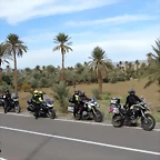 DSCN8555