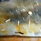 P1070085