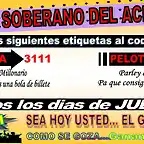 BANNER PARLEY 3111