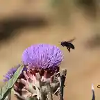 14, aterrizando, marca