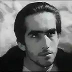 1a.pasolini - matthew