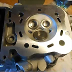 44
