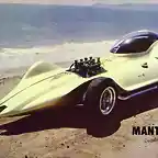 mantaray1