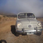 langosto58 069
