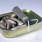 sardines