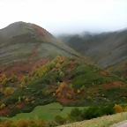 DSCN6000