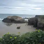 playa de las catedrales/galicia