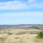 IMG_8456