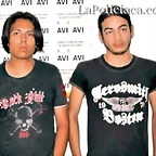 indomestizo y harnizo 2
