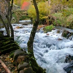 DSCN6081