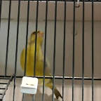 IMG_20170122_134314