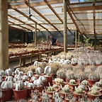 SAM_0374