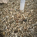 SAM_0352